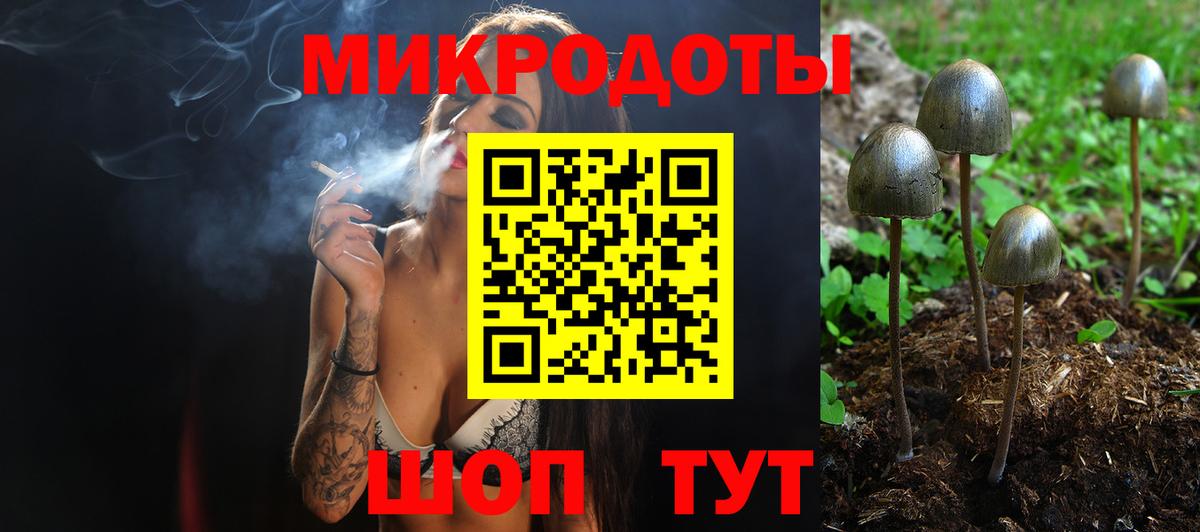Соль-Илецк  Псилоцибиновые грибы ЛСД  даркнет сайт  Вход с VPN 