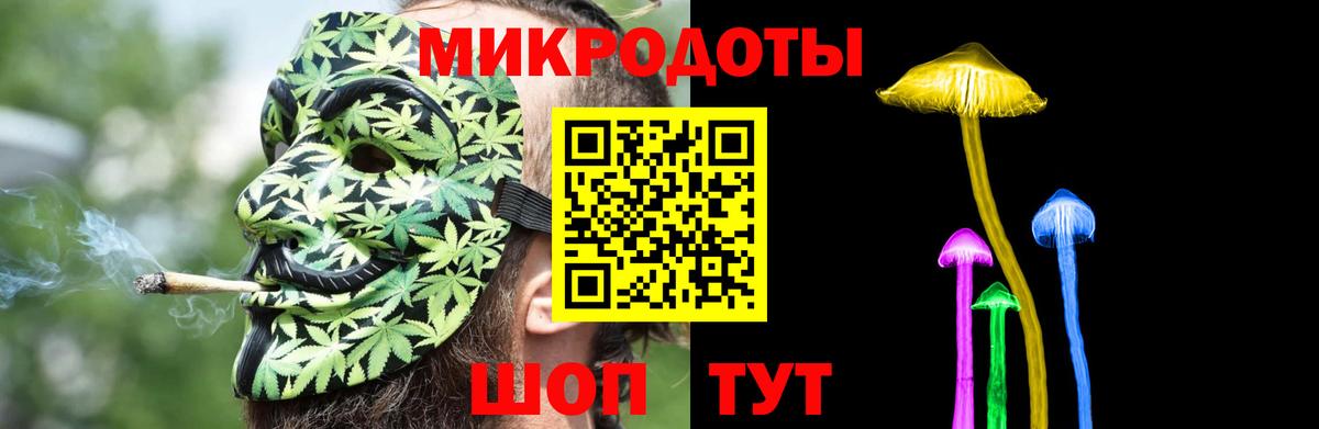Псилоцибиновые грибы Psilocybe Соль-Илецк
